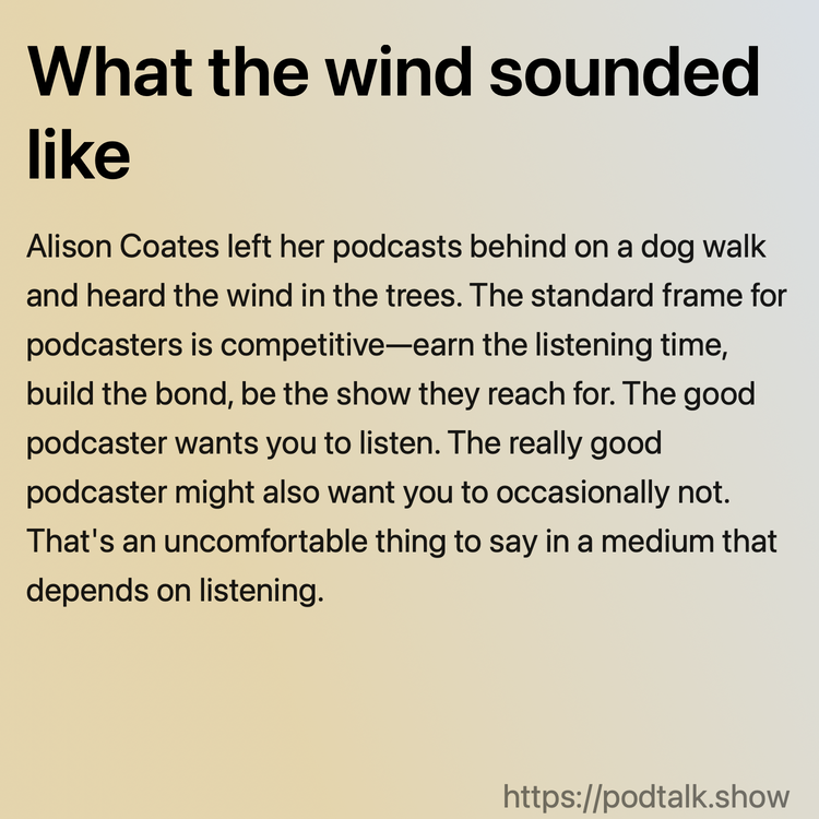 What the wind sounded like